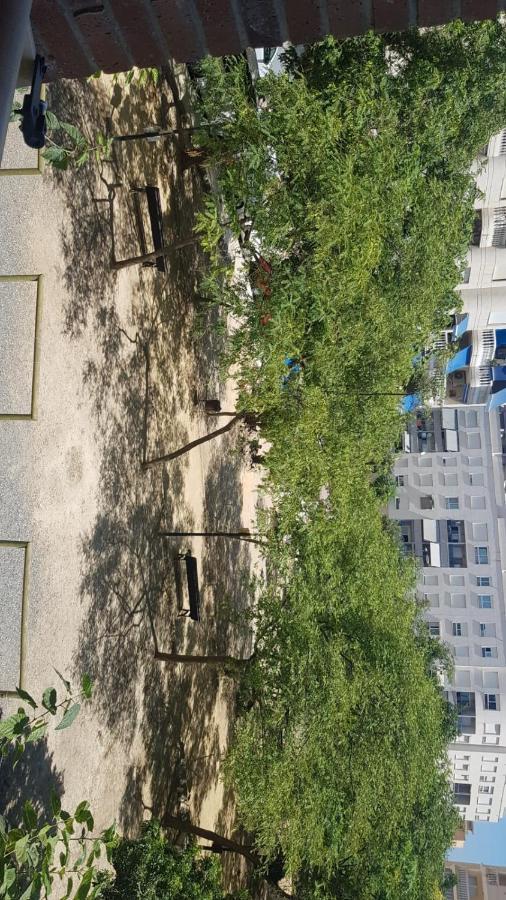 Apartamento En Campello A 250M De La Playa El Campello Eksteriør billede